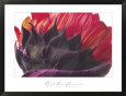 Red Sunflower