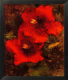 Hibiscus II