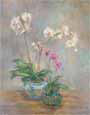 Orchid Heirloom I