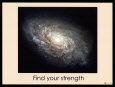 Find Your Strength