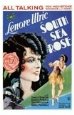 South Sea Rose