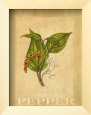 Pepper