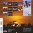 Elephants