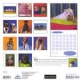 Judy Reinen Dogs