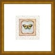 Butterfly II