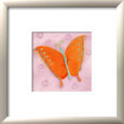 Psychedelic Butterfly