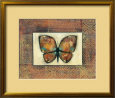 Butterfly IV