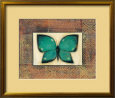 Butterfly I