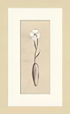 Flower Vase IV