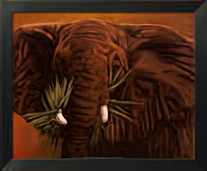 Elephant Grande Animals Elephants
