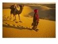 Camel Driver, Thar Desert, Rajasthan, India