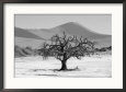 Sand Dunes of Sossusvlei - Namib desert, Namibia