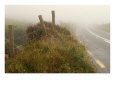 Ireland - Foggy Road In Counryside