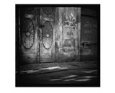 Old Doors with Light