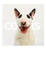 Bull Terrier