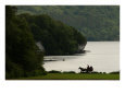Ireland, Killarney, Horse and Cart by Lake