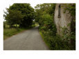 Rural Ireland, Stone Wall Along Country Road