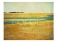 Cape Cod Tidelands #2