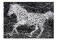 Trotting Movement
