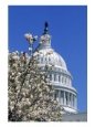 Capitol Building, Washington, DC