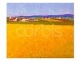 The Amish Farm