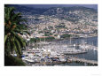City and Marina, Funchal, Madeira, Portugal