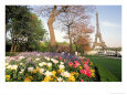 Eiffel Tower with Spring Flowers, Paris, France