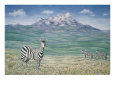 Zebra with Mountain in Background
