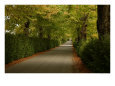 Landscapes, Tuscany, Italy Scenic Streets & Roadways