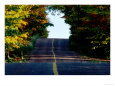 Rural Road and Autumn Trees Scenic Streets & Roadways