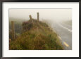 Ireland - Foggy Road In Counryside