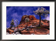Zion National Park in the Snow, Utah