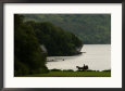 Ireland - Killarney - Horse And Cart By Lake