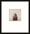 Pup Pot, 1993