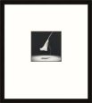 Calla Lily