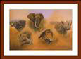 Other Elephant Animals Elephants