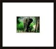 Mother and Baby Elephant