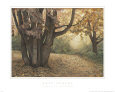 Last Leaves