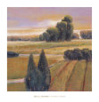 Summer Cypress