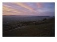 A Twilight View of an Italian Vineyard and Surrounding Landscape