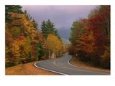 A two-lane roads winds through autumn woods.