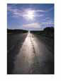 The Sun Reflects on This Black Tarred Road in Arizona