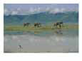 A herd of African elephants traveling along a river in Chobe National Park