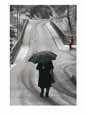 Older Woman Walking in the Snow with an Umbrella