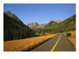 View Down a Road in the Maroon Bells, Snowmass Wilderness Area