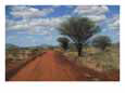 View of a Red Earth Road in Tsavo West Park