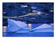 Small Icebergs Float Next to the Shore