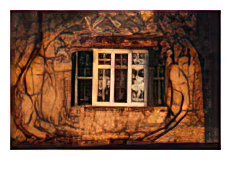 Bare vines twine around a window bathed in golden light
