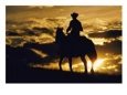 Cowboy on horseback silhouetted against a cloudy twilight sky.