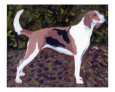 AMERICAN FOXHOUND IN OILS